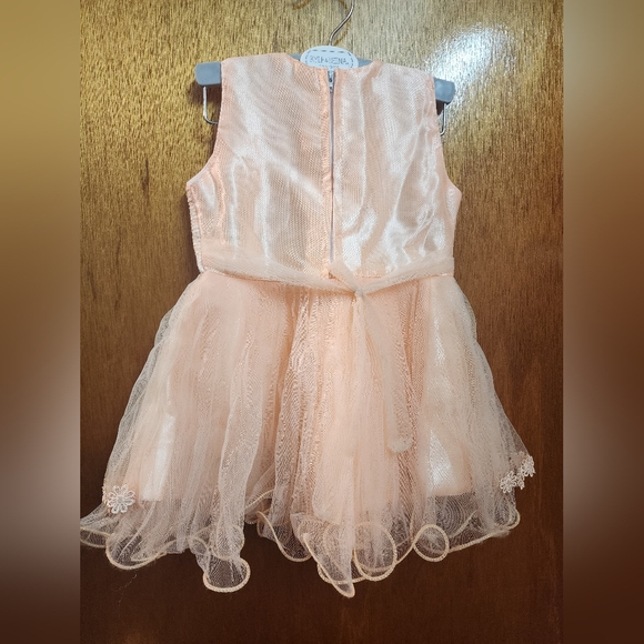 Peach Floral Lace Dress (Only 1 Day Used ) - Picture 3 of 3